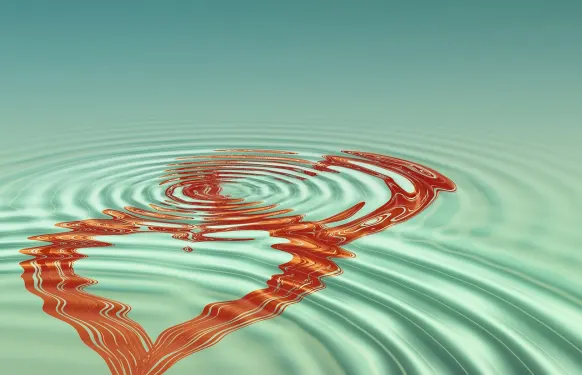 Casino Barbados Bingo Stuðningur